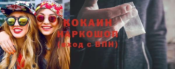 прущие грибы Ростов