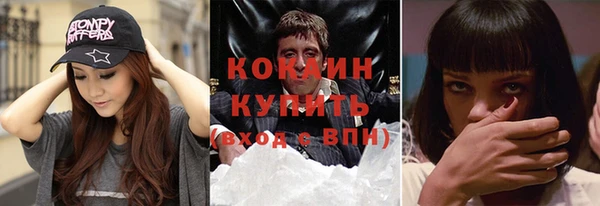 прущий лед Алзамай