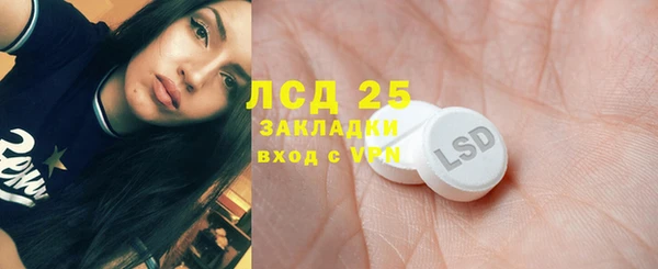 прущий лед Алзамай