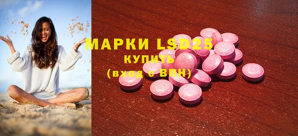 прущий лед Алзамай