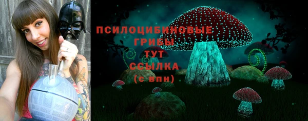 спайс Алексеевка