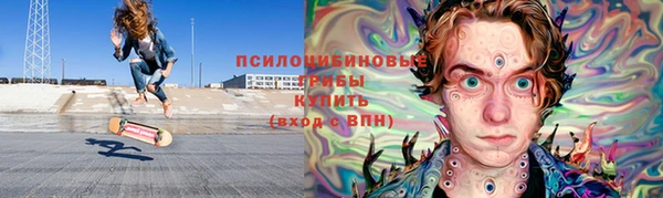 прущий лед Алзамай